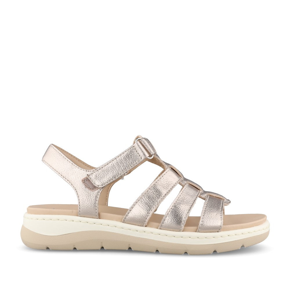 Ladies 8-28710 Velcro Sandal In Champagne