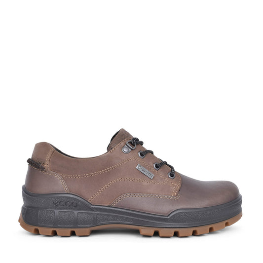 Mens 831844 Track 25 Laced Gortex Walking Shoe In Brown