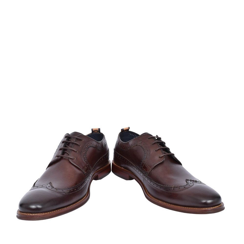 Men's Havisham Brogue Shoe In Brown