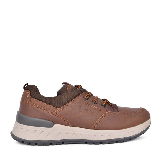 Mens Stamford 5842 Laced Shoe In Brown