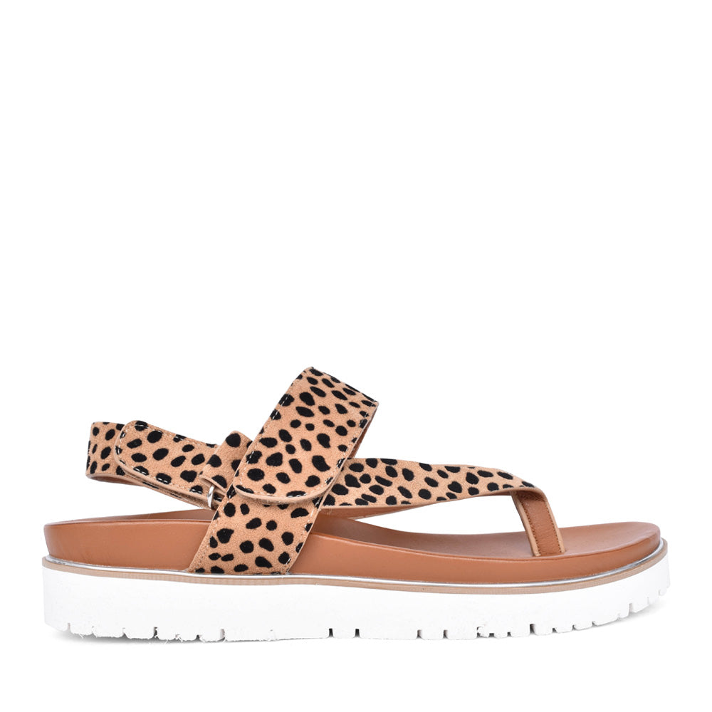 Ladies Bersanee Toe Post Sandal In Animal