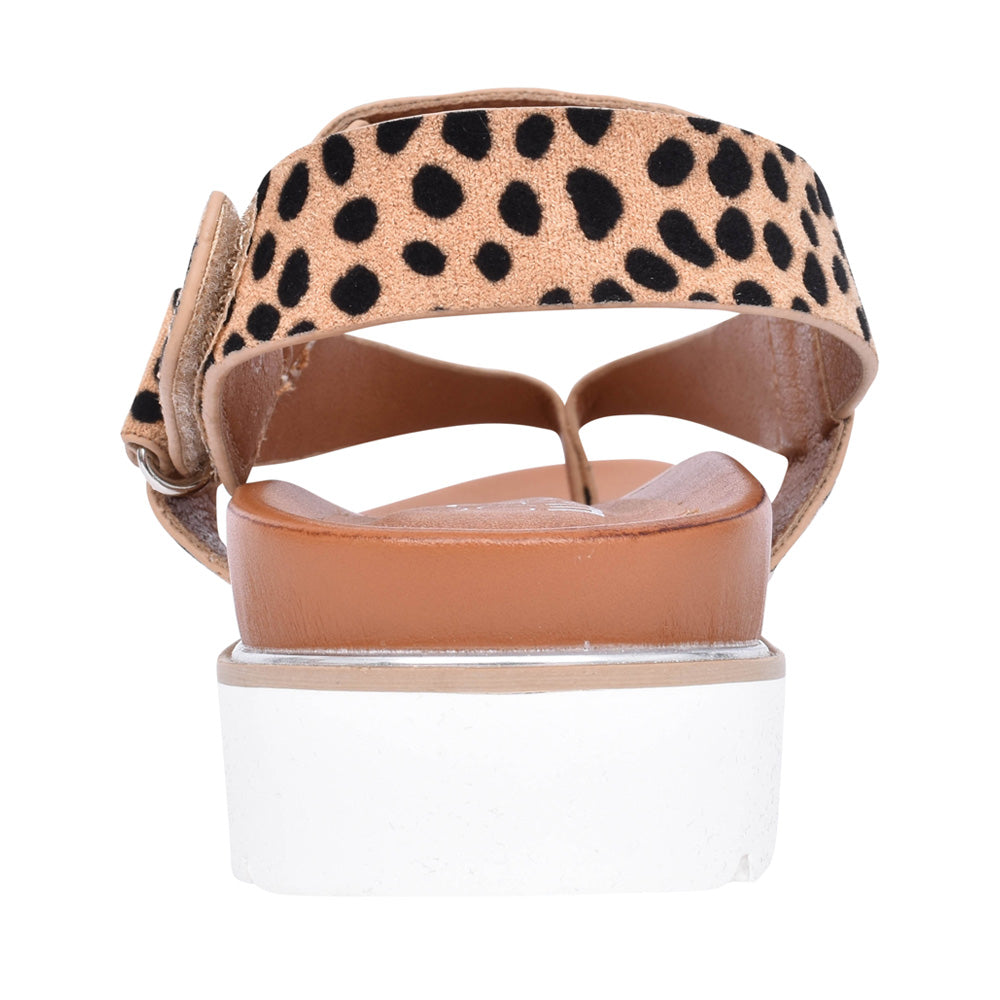 Ladies Bersanee Toe Post Sandal In Animal