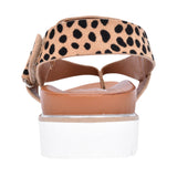 Ladies Bersanee Toe Post Sandal In Animal