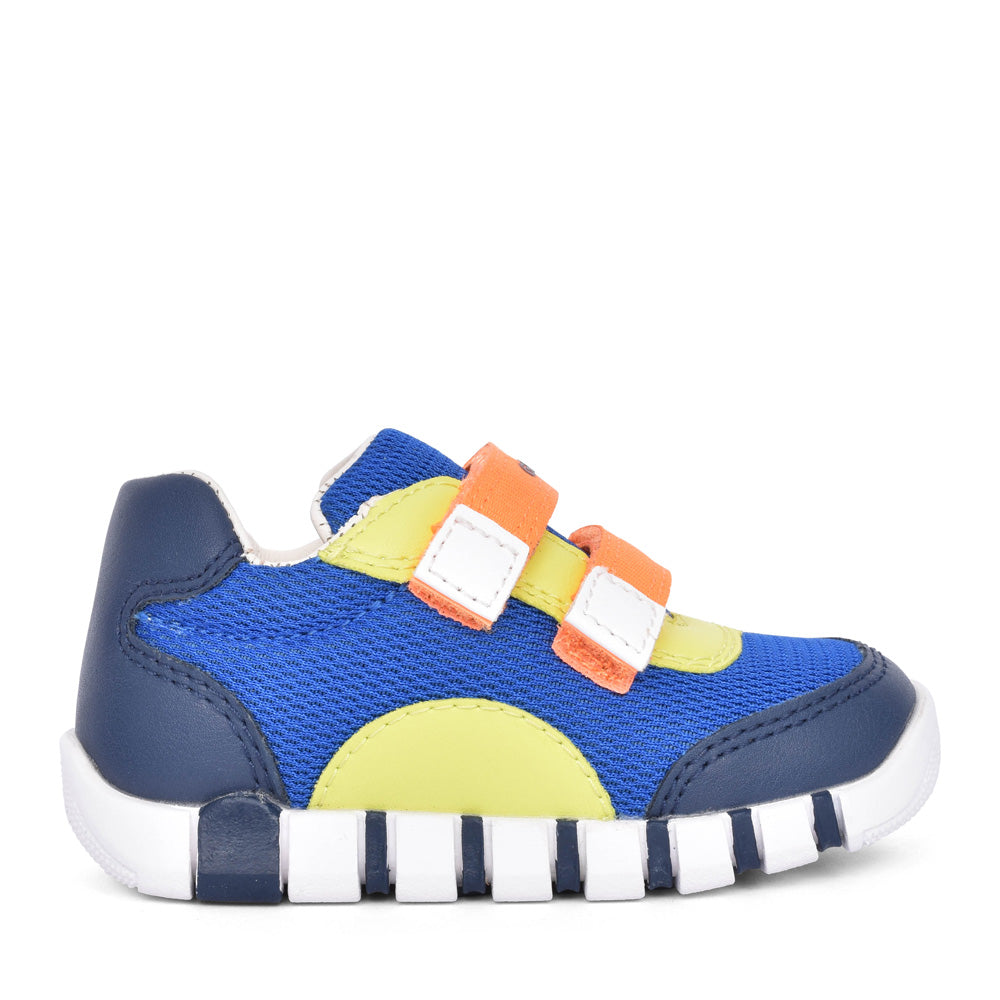 Boys B3555c B Iupidoo Velcro Trainer In Blue
