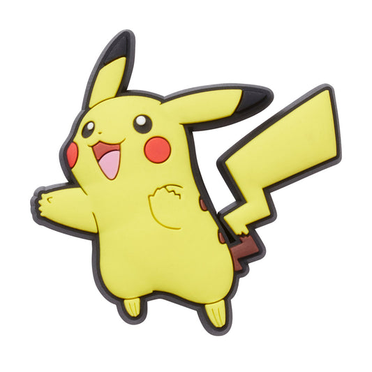 Pokemon Pikachu In Any