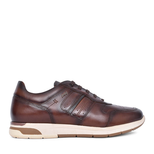 Mens Arrow Laced Shoe In Brown