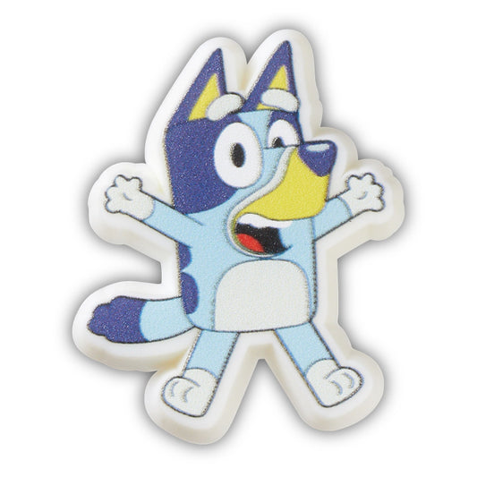 Bluey In Any