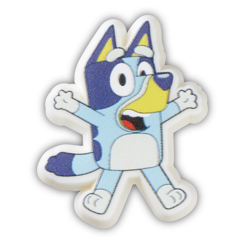Bluey In Any