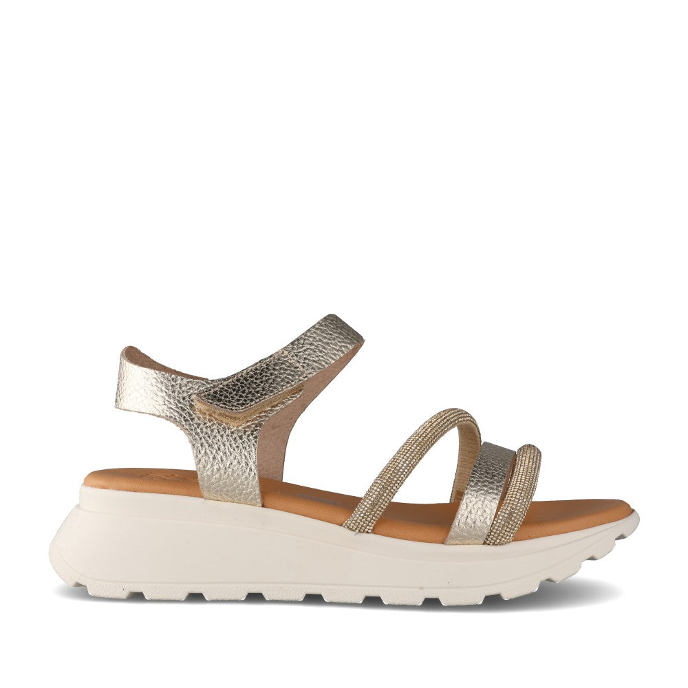 Ladies 5956 Velcro Sandal In Champagne