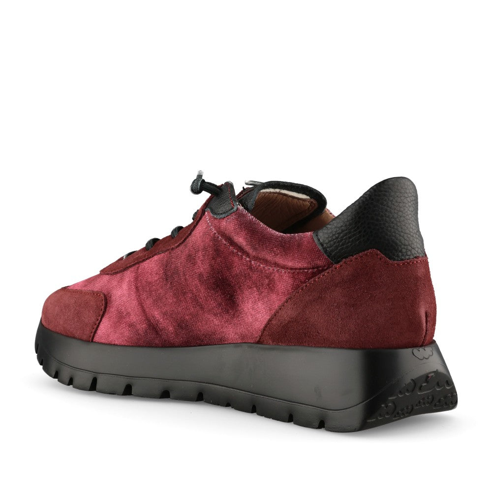 Wonders Ladies A-24111 Trainer In Red